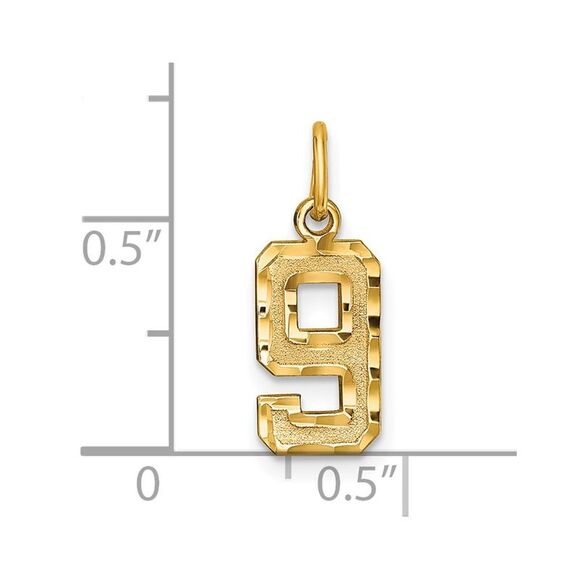14k Yellow Gold, Varsity Collection, Small D/C Pendant Number 9 - Picture 4 of 5